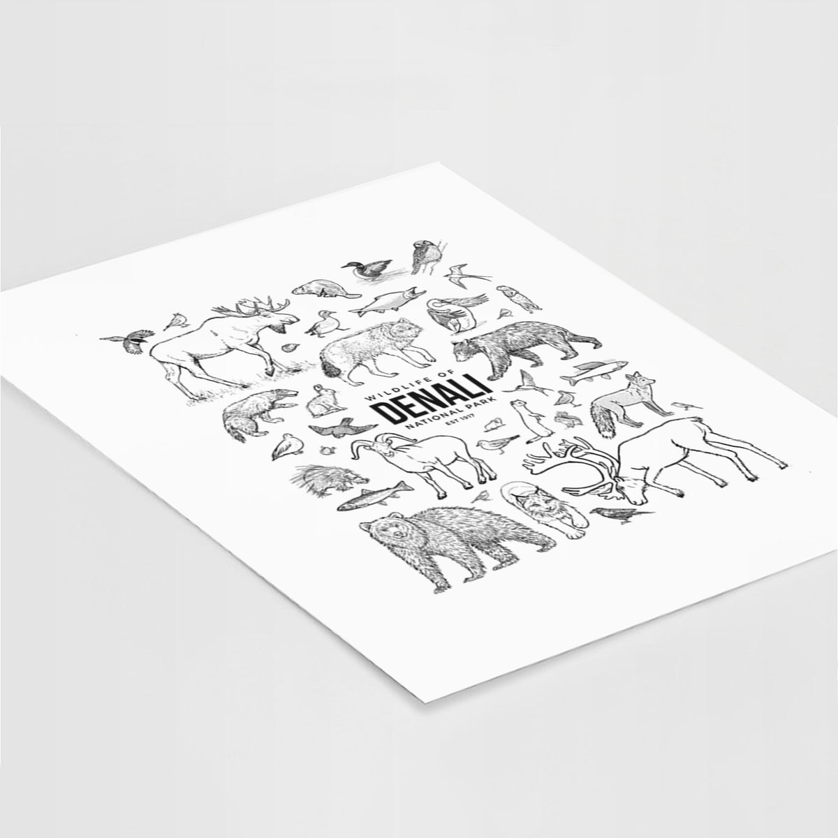 Art print of a collection of black ink wildlife illustrations surrounding the words Denali National Park, lying at an angle on a white surface.