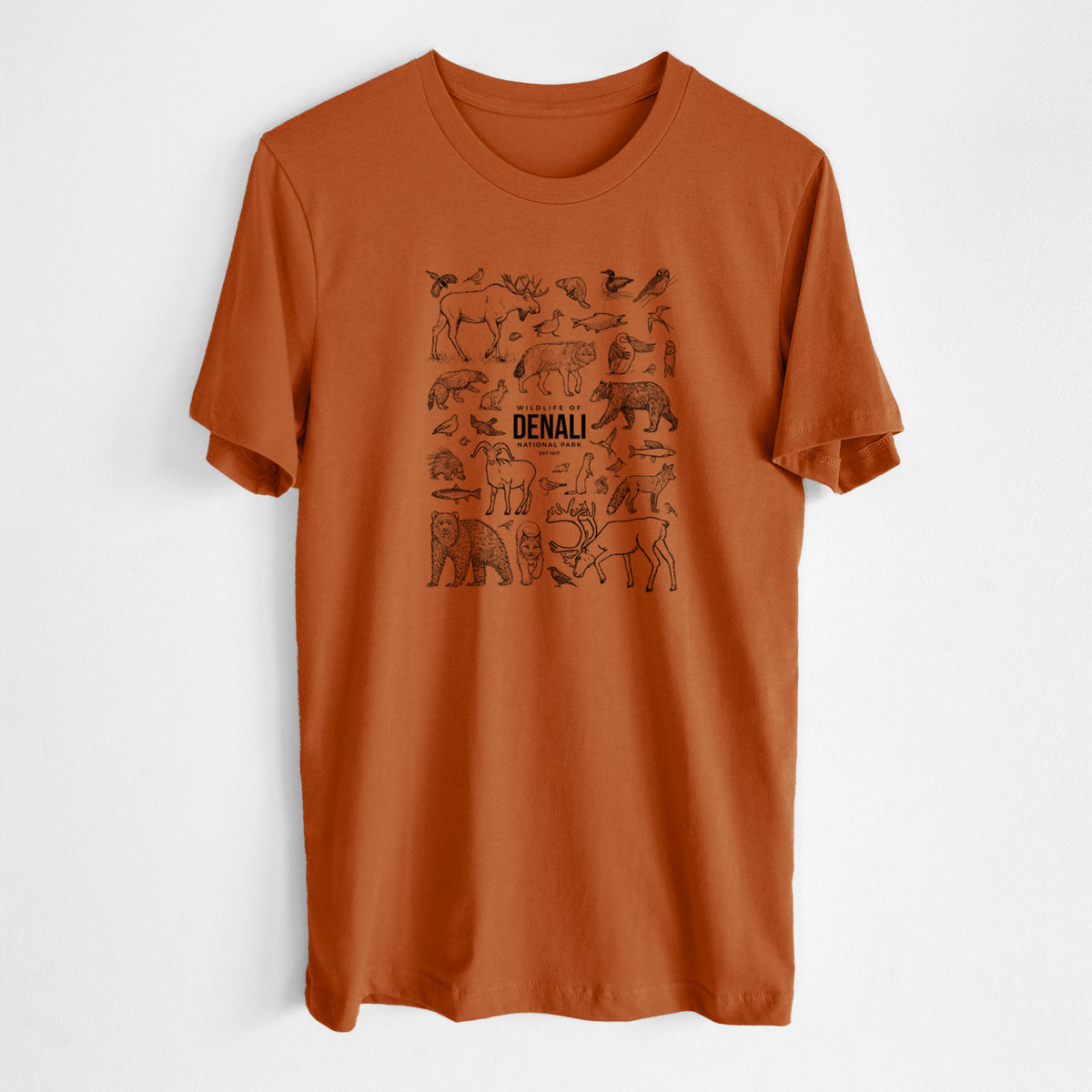 Autumn lightweight cotton t-shirt laid flat, printed with a collection of black ink wildlife illustrations surrounding the words Denali National Park.