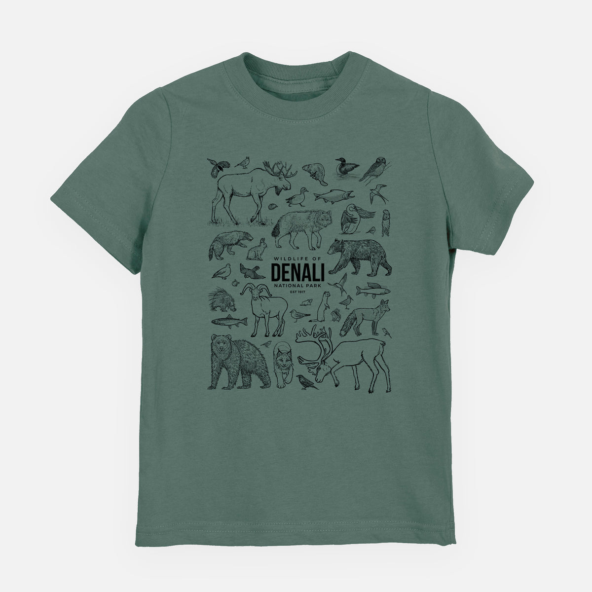 Basil green youth t-shirt laid flat, printed with a collection of black ink wildlife illustrations surrounding the words Denali National Park.