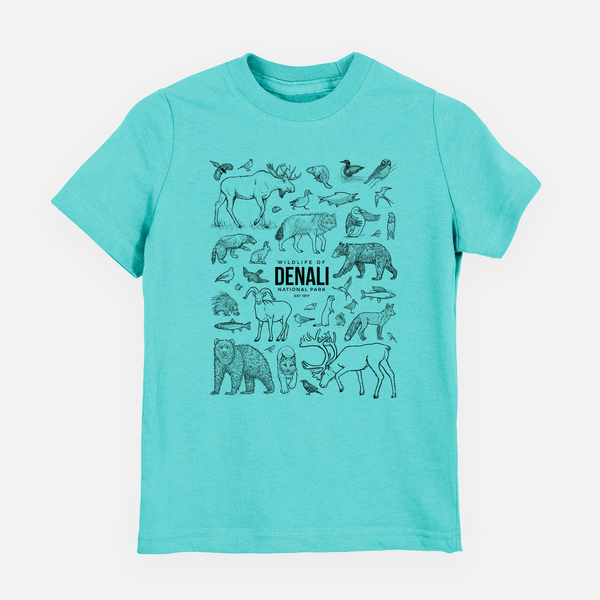 Caribbean blue youth t-shirt laid flat, printed with a collection of black ink wildlife illustrations surrounding the words Denali National Park.