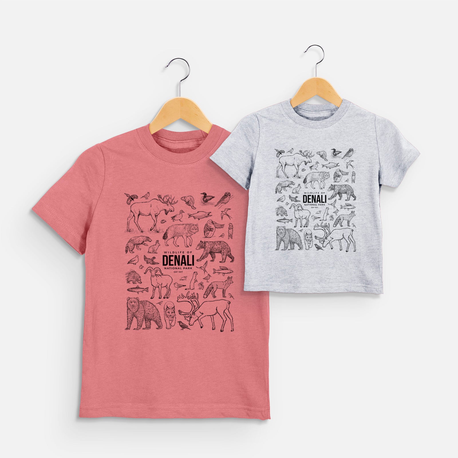 Two youth t-shirts in different colors on hangers, printed with a collection of black ink wildlife illustrations surrounding the words Denali National Park.