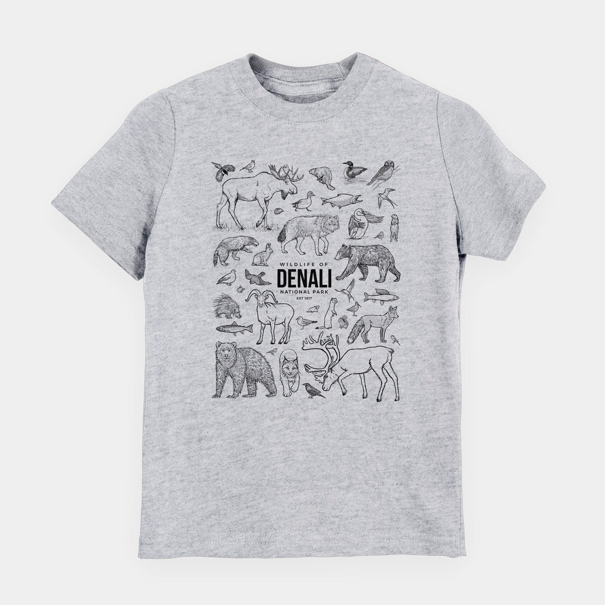 Heather grey youth t-shirt laid flat, printed with a collection of black ink wildlife illustrations surrounding the words Denali National Park.