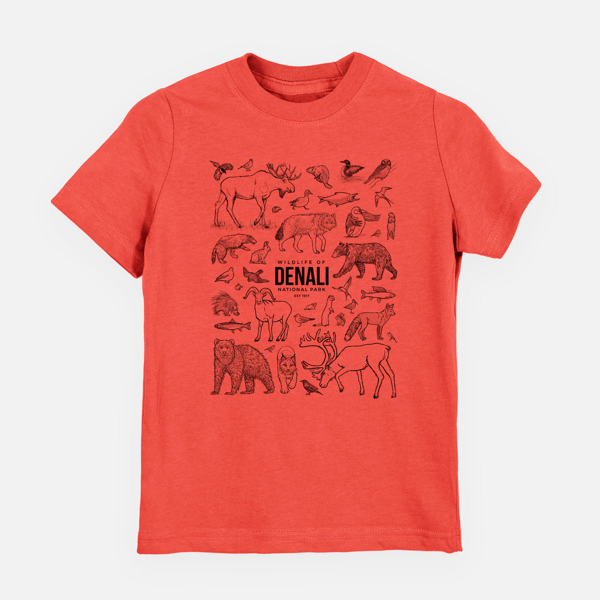 Passionfruit pink youth t-shirt laid flat, printed with a collection of black ink wildlife illustrations surrounding the words Denali National Park.