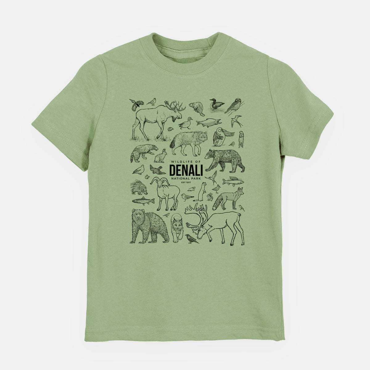 Sage green youth t-shirt laid flat, printed with a collection of black ink wildlife illustrations surrounding the words Denali National Park.