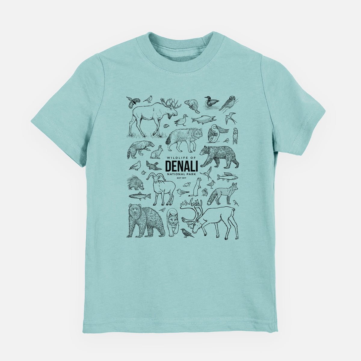 Saltwater youth t-shirt laid flat, printed with a collection of black ink wildlife illustrations surrounding the words Denali National Park.