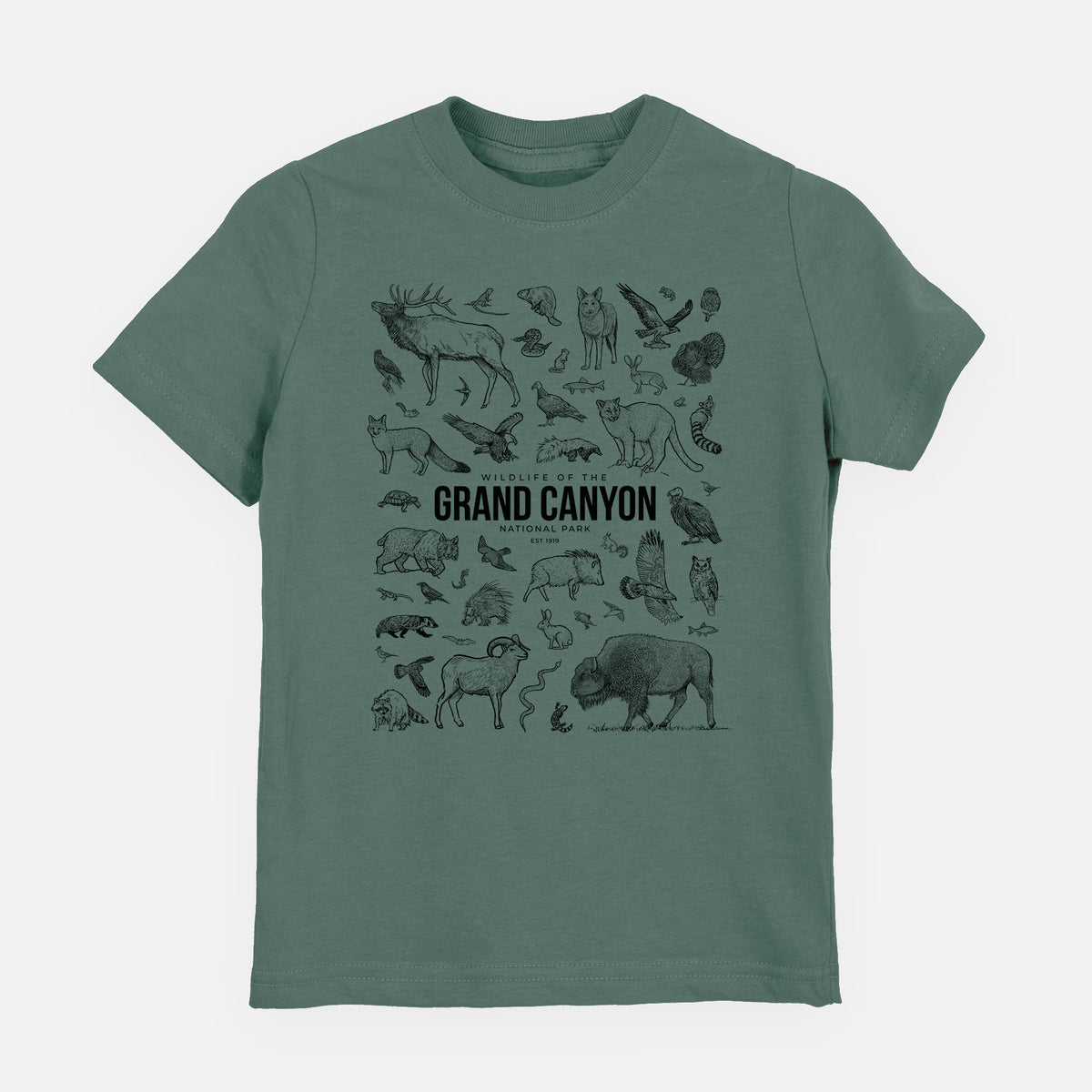 Basil green youth t-shirt laid flat, printed with a collection of black ink wildlife illustrations surrounding the words Grand Canyon National Park.