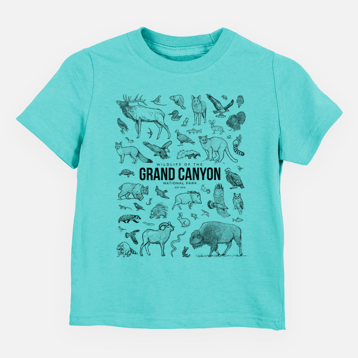 Caribbean blue toddler t-shirt laid flat, printed with a collection of black ink wildlife illustrations surrounding the words Grand Canyon National Park.