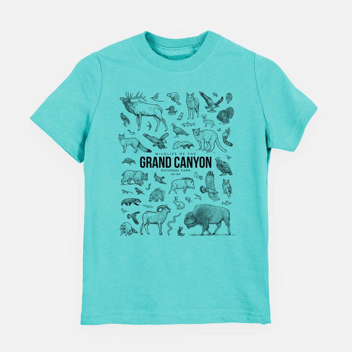 Caribbean blue youth t-shirt laid flat, printed with a collection of black ink wildlife illustrations surrounding the words Grand Canyon National Park.