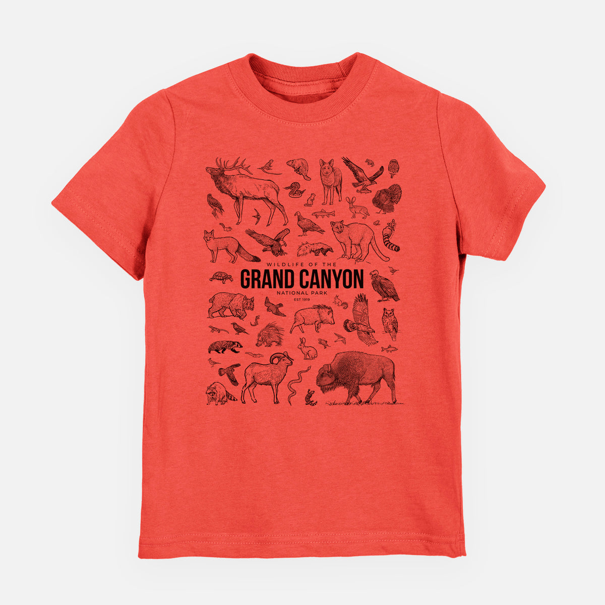 Passionfruit pink youth t-shirt laid flat, printed with a collection of black ink wildlife illustrations surrounding the words Grand Canyon National Park.