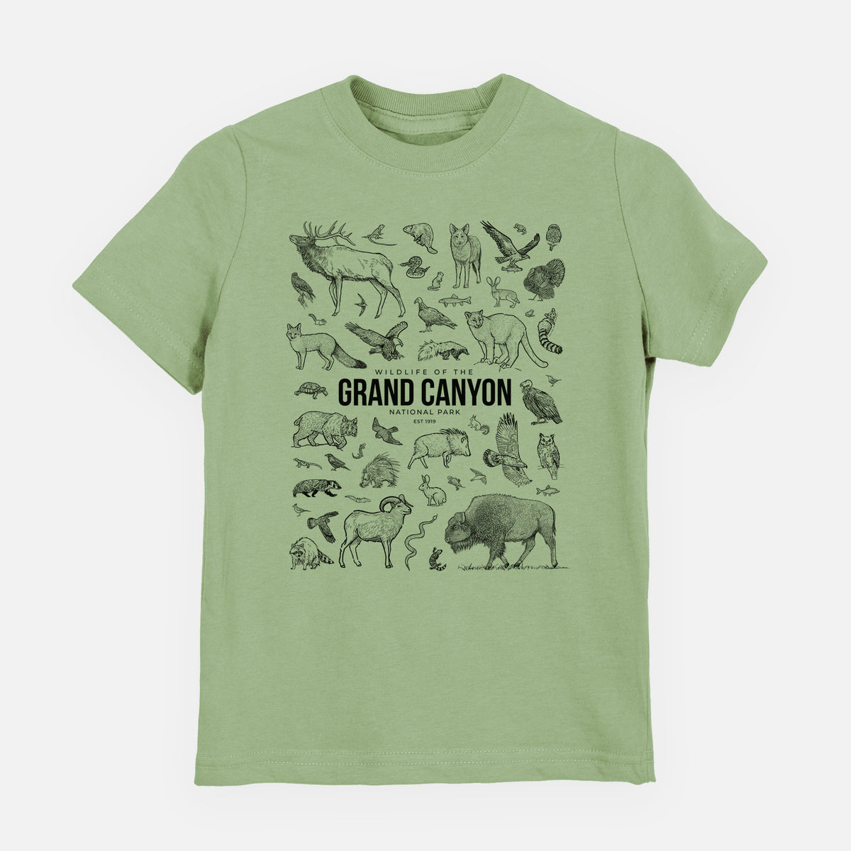 Sage green youth t-shirt laid flat, printed with a collection of black ink wildlife illustrations surrounding the words Grand Canyon National Park.