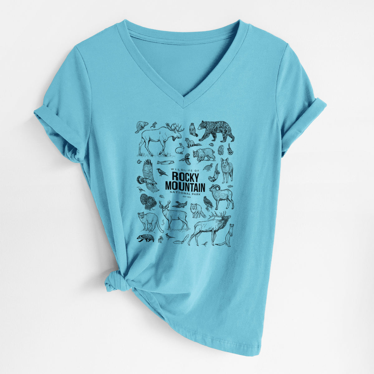 Turquoise women's relaxed fit cotton V-neck t-shirt laid flat, printed with a collection of black ink wildlife illustrations surrounding the words Rocky Mountain National Park.