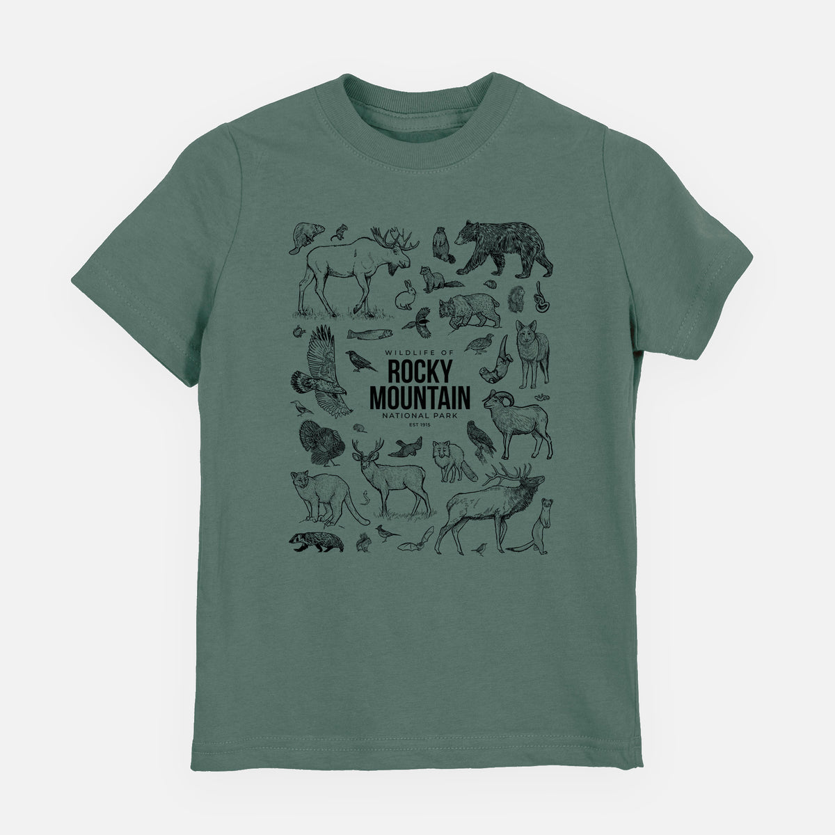 Basil green youth t-shirt laid flat, printed with a collection of black ink wildlife illustrations surrounding the words Rocky Mountain National Park.