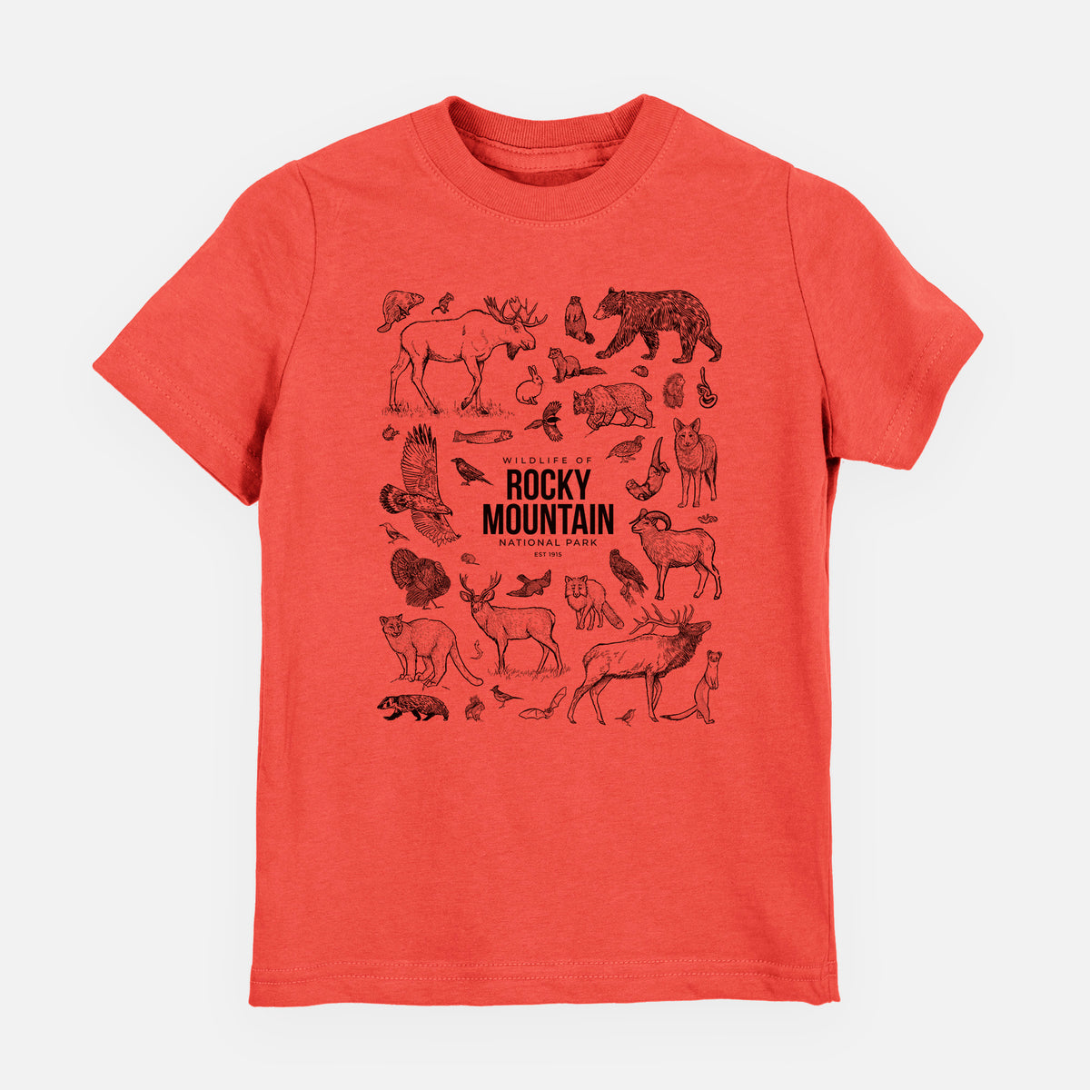 Passionfruit pink youth t-shirt laid flat, printed with a collection of black ink wildlife illustrations surrounding the words Rocky Mountain National Park.