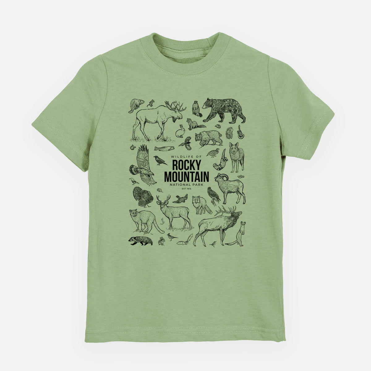 Sage green youth t-shirt laid flat, printed with a collection of black ink wildlife illustrations surrounding the words Rocky Mountain National Park.