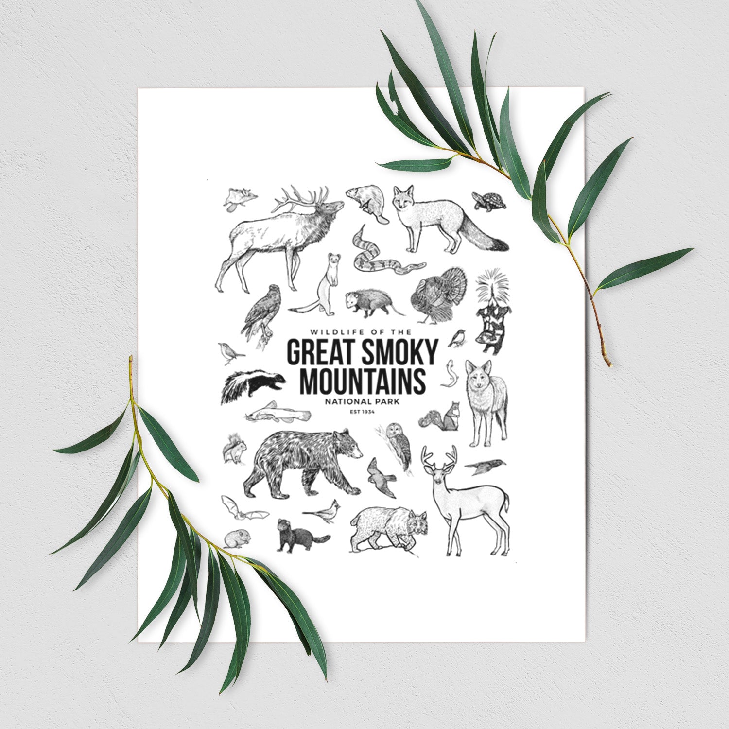 Art print of a collection of black ink wildlife illustrations surrounding the words Great Smoky Mountains National Park, shown with eucalyptus leaves.