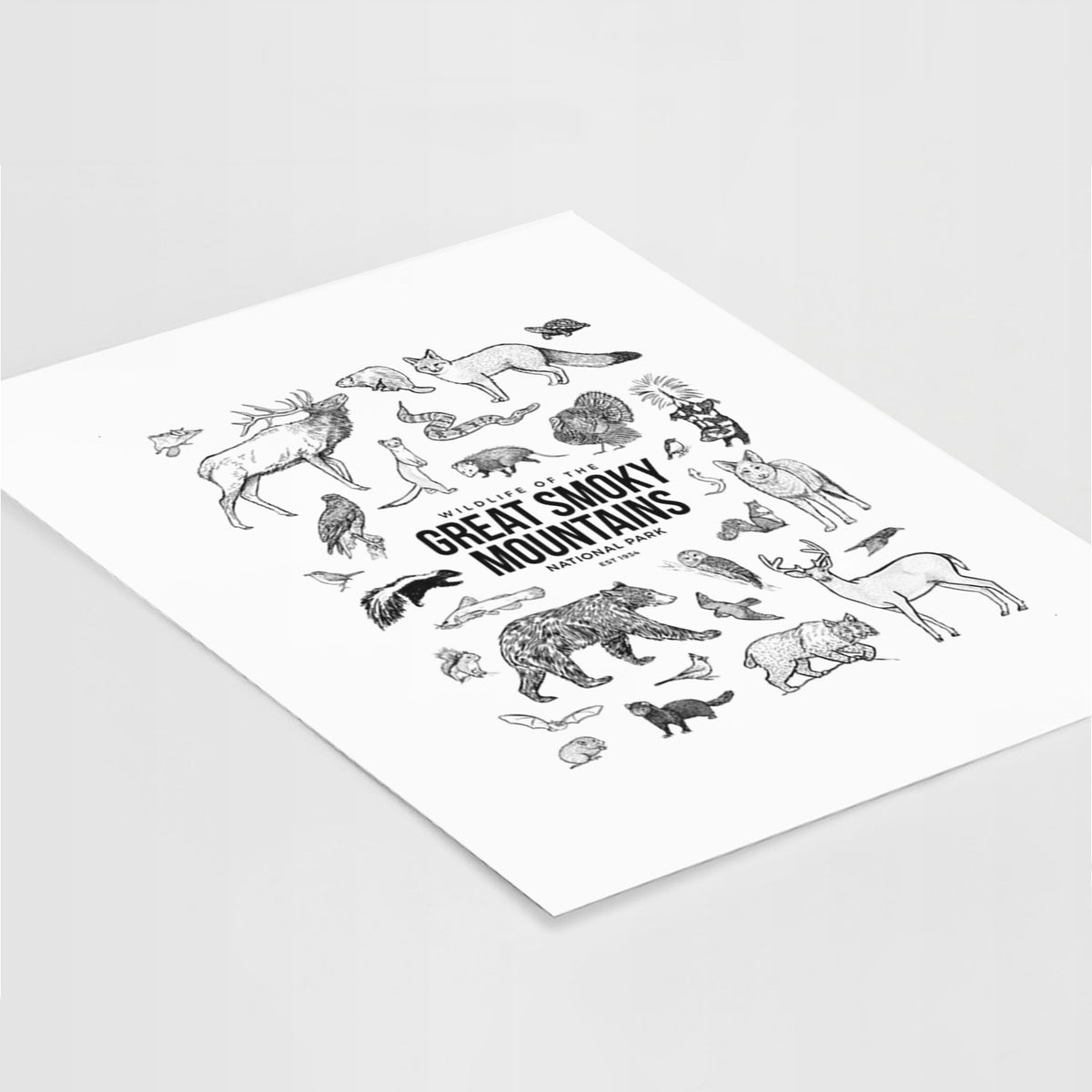 Art print of a collection of black ink wildlife illustrations surrounding the words Great Smoky Mountains National Park, lying at an angle on a white surface.