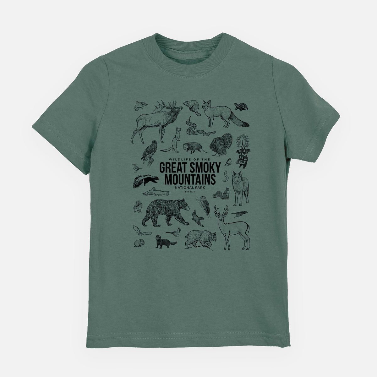 Basil green youth t-shirt laid flat, printed with a collection of black ink wildlife illustrations surrounding the words Great Smoky Mountains National Park.
