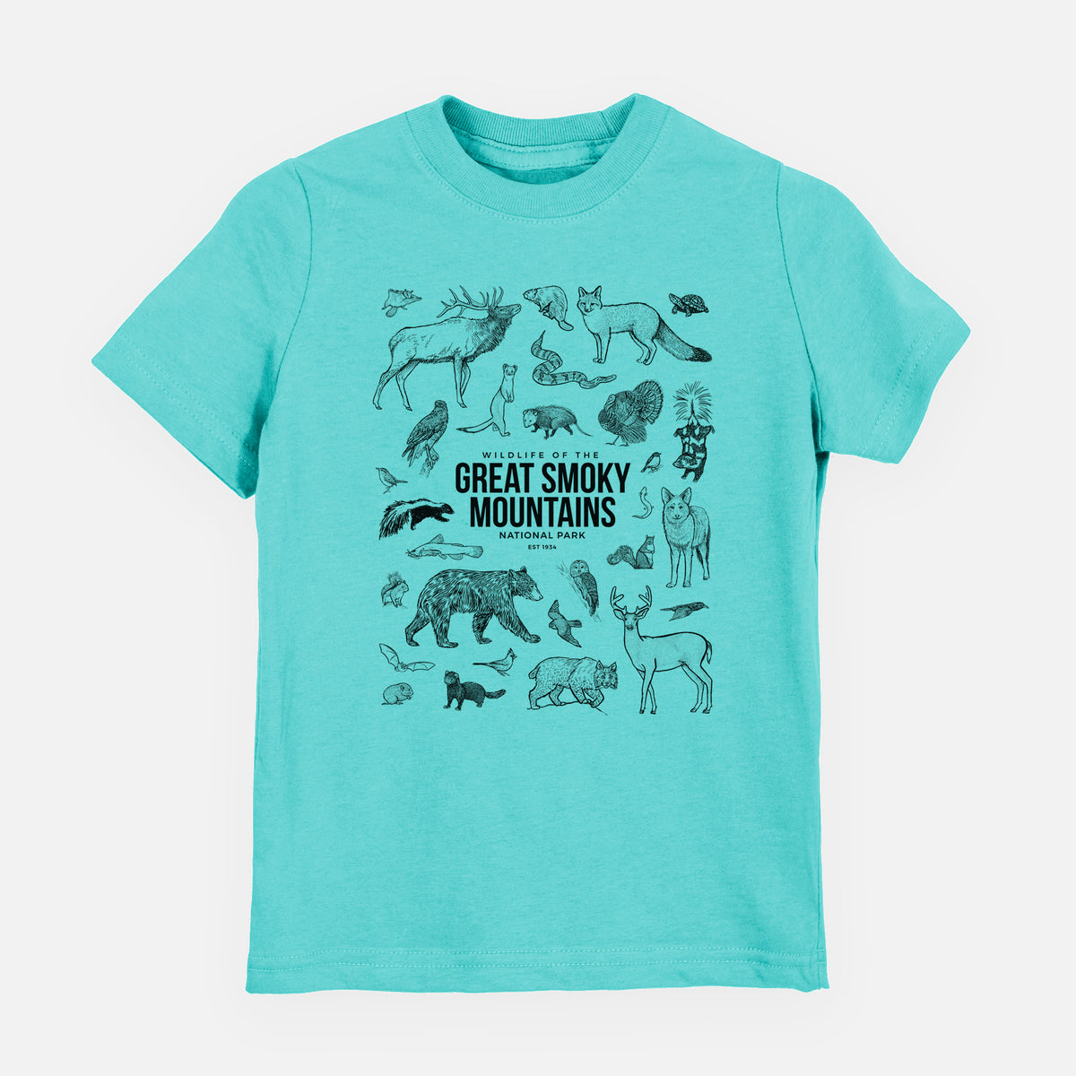 Caribbean blue youth t-shirt laid flat, printed with a collection of black ink wildlife illustrations surrounding the words Great Smoky Mountains National Park.