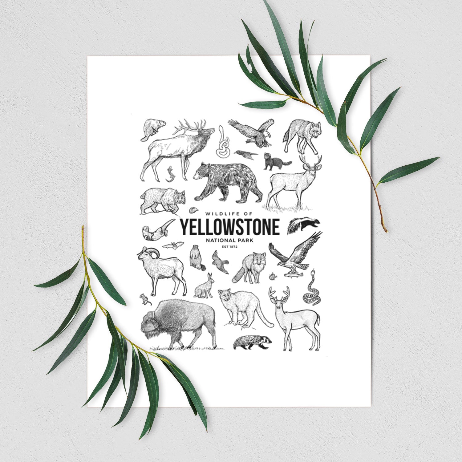 Art print of a collection of black ink wildlife illustrations surrounding the words Yellowstone National Park, shown with eucalyptus leaves.