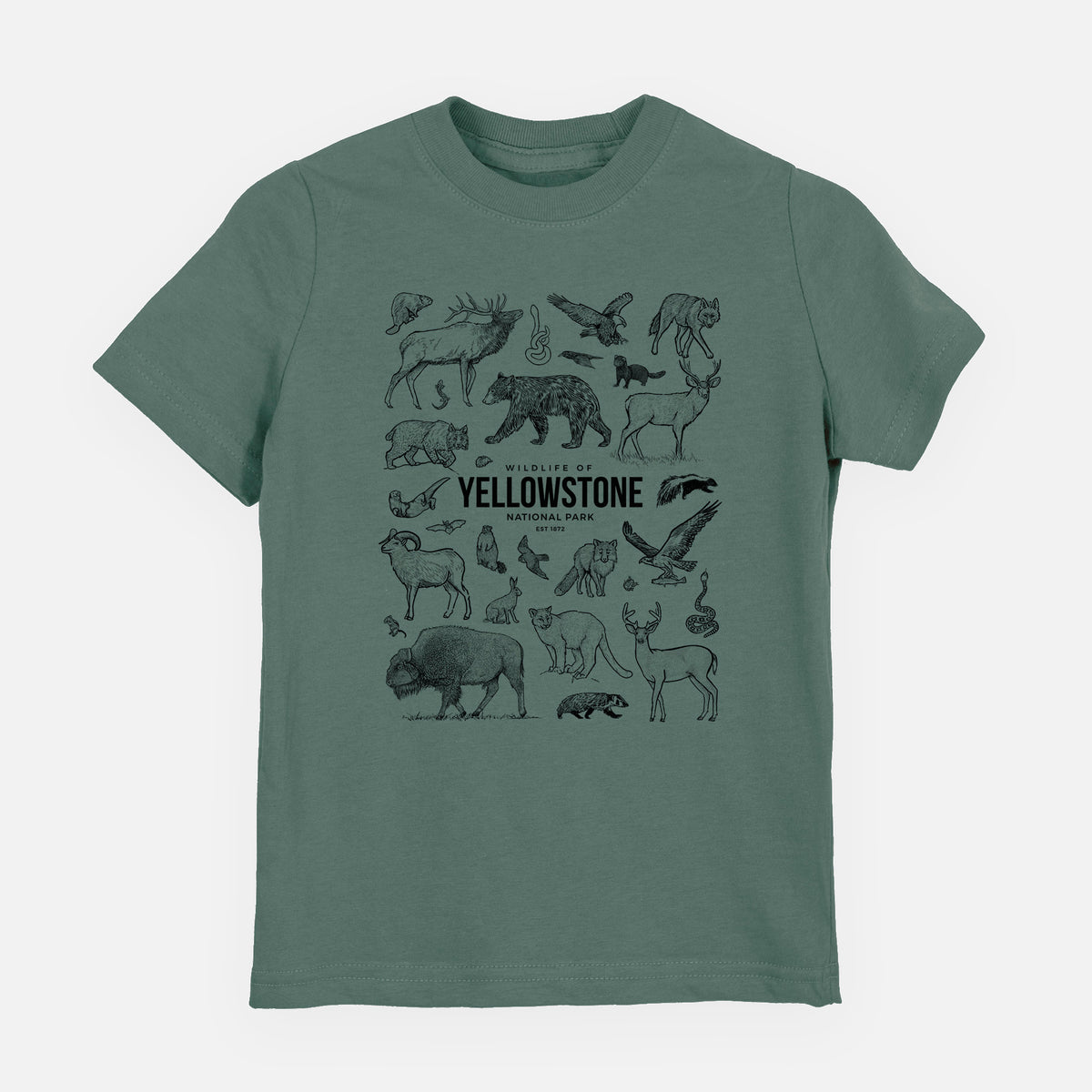 Basil green youth t-shirt laid flat, printed with a collection of black ink wildlife illustrations surrounding the words Yellowstone National Park.
