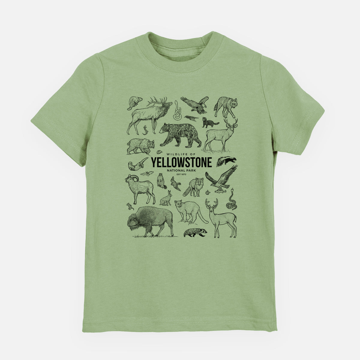 Sage green youth t-shirt laid flat, printed with a collection of black ink wildlife illustrations surrounding the words Yellowstone National Park.