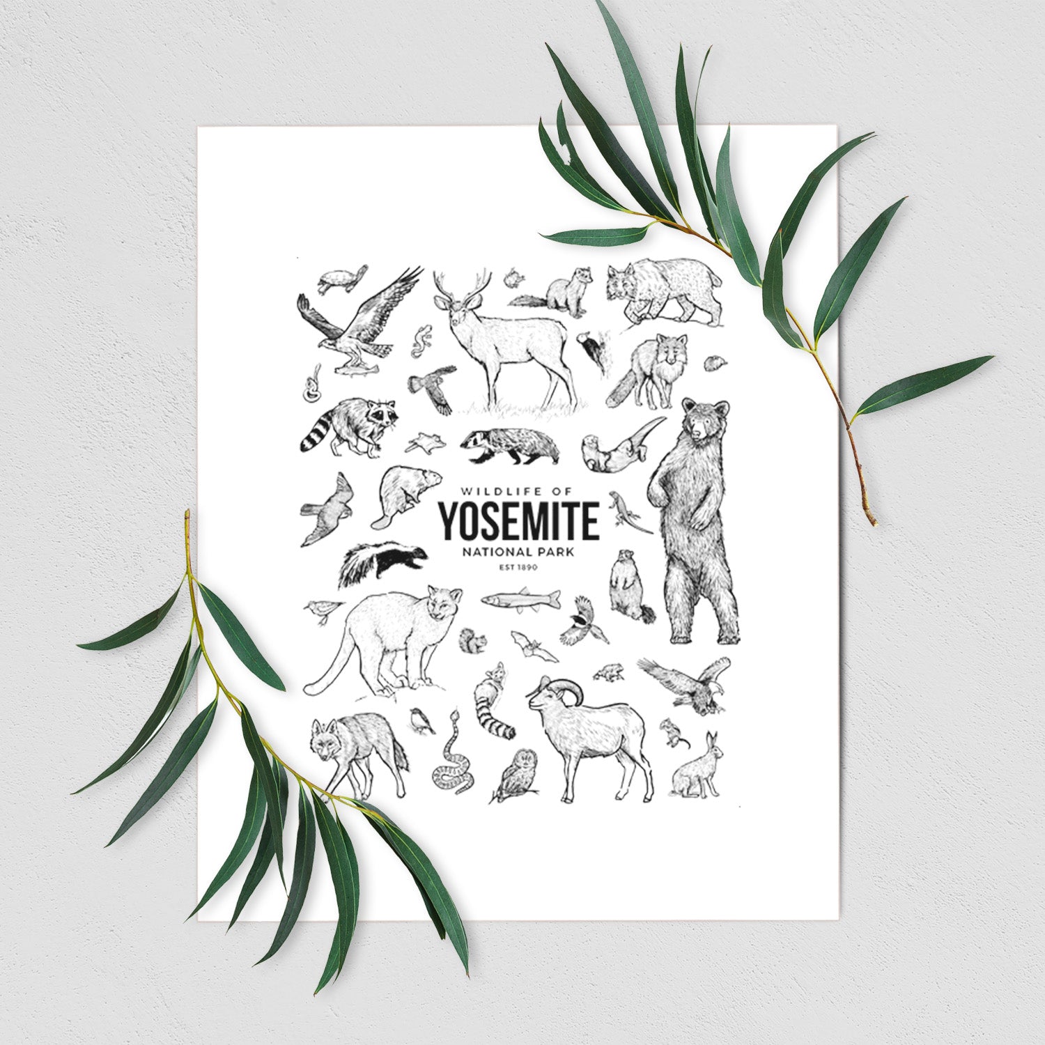 Art print of a collection of black ink wildlife illustrations surrounding the words Yosemite National Park, shown with eucalyptus leaves.