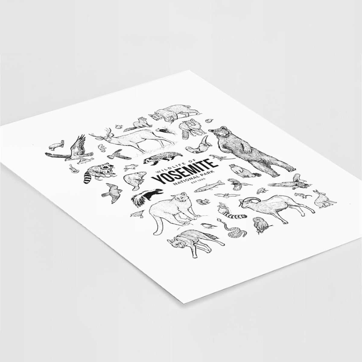 Art print of a collection of black ink wildlife illustrations surrounding the words Yosemite National Park, lying at an angle on a white surface.