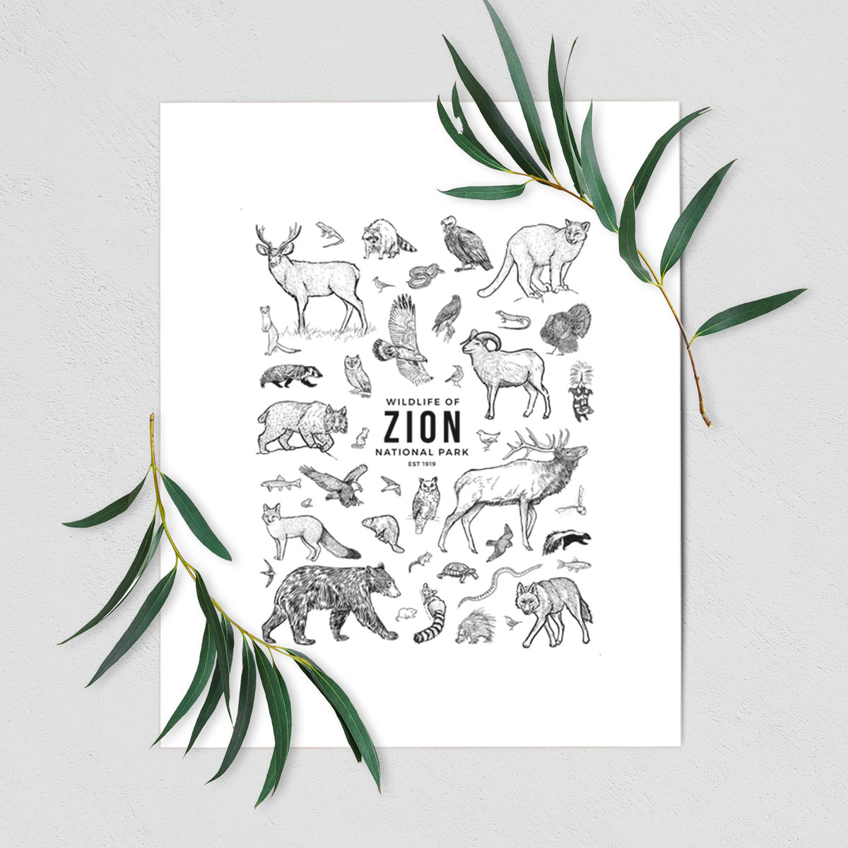 Art print of a collection of black ink wildlife illustrations surrounding the words Zion National Park, shown with eucalyptus leaves.