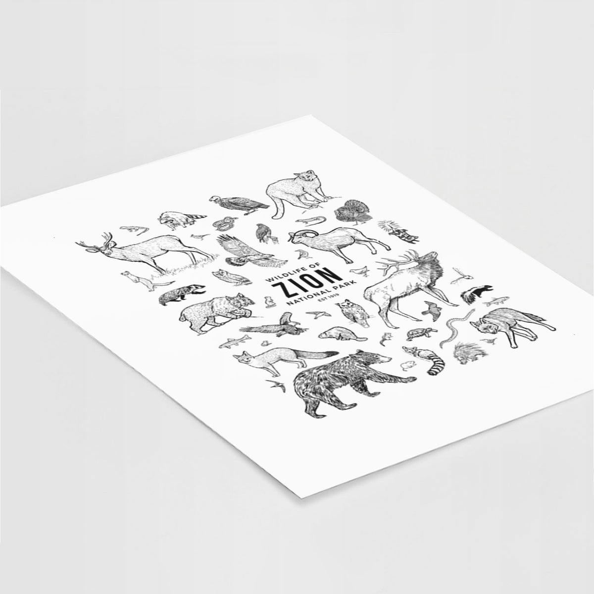 Art print of a collection of black ink wildlife illustrations surrounding the words Zion National Park, lying at an angle on a white surface.