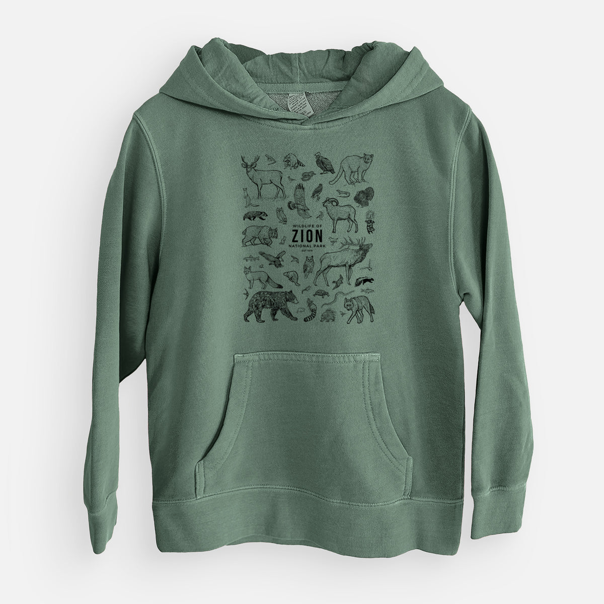 Alpine green youth pigment dyed hoodie laid flat, printed with a collection of black ink wildlife illustrations surrounding the words Zion National Park.