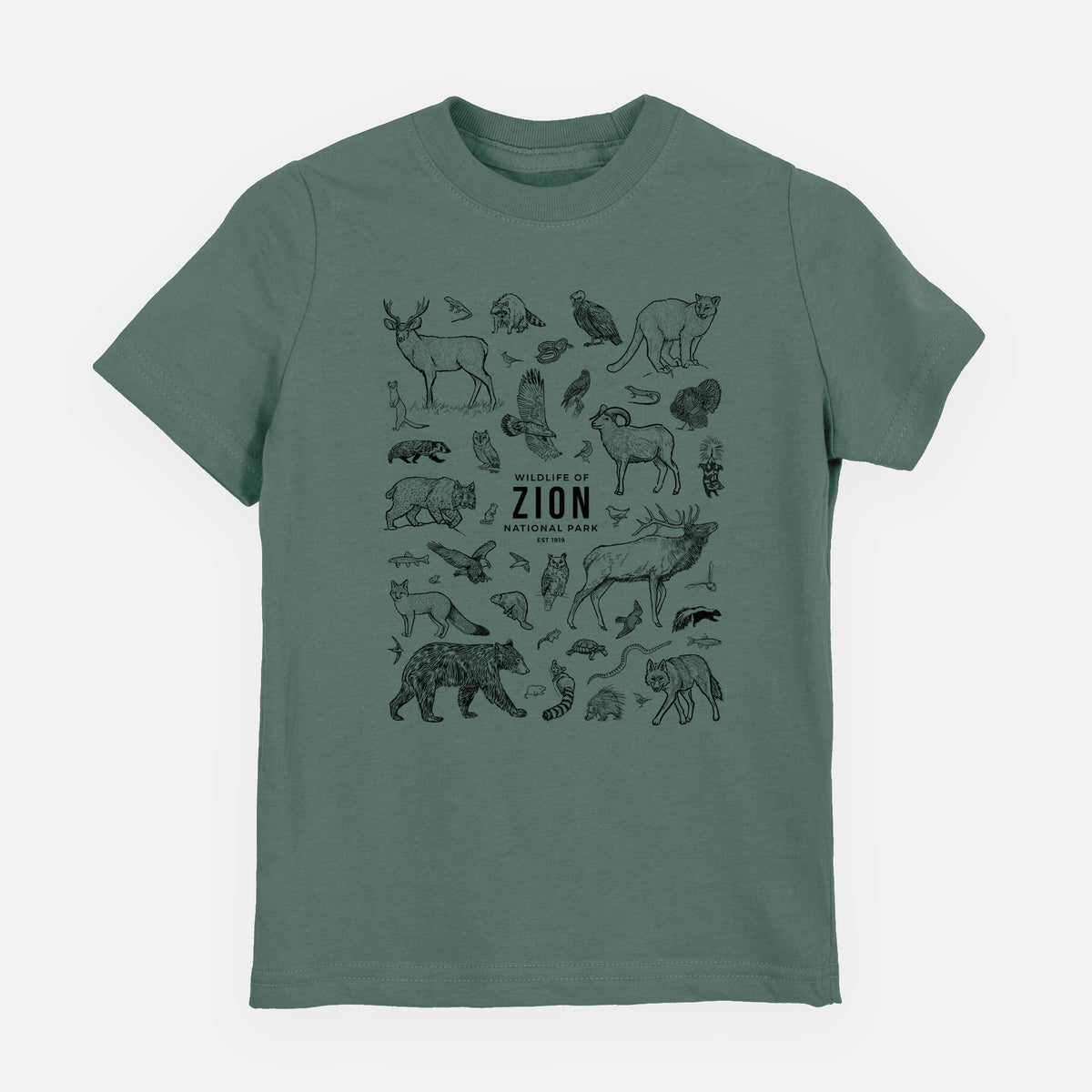Basil green youth t-shirt laid flat, printed with a collection of black ink wildlife illustrations surrounding the words Zion National Park.