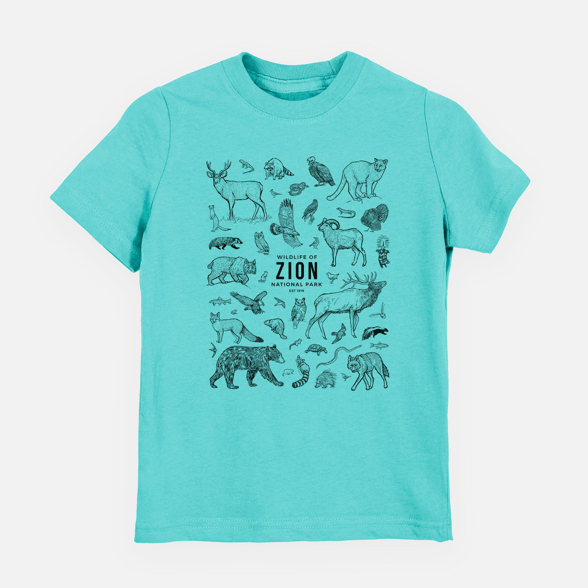 Caribbean blue youth t-shirt laid flat, printed with a collection of black ink wildlife illustrations surrounding the words Zion National Park.