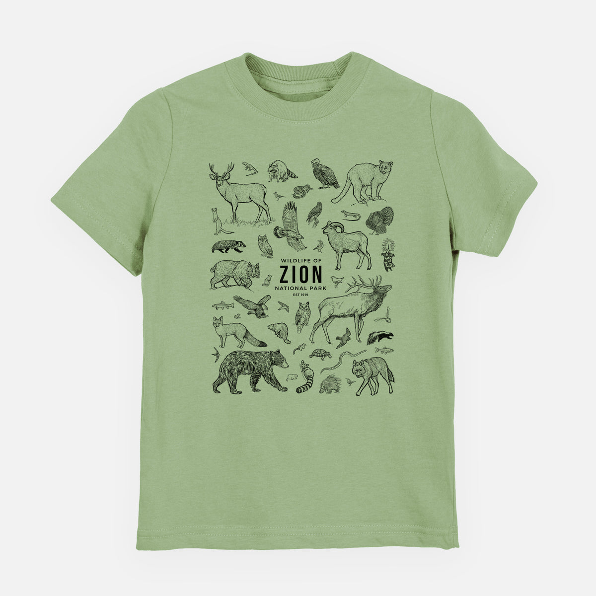Sage green youth t-shirt laid flat, printed with a collection of black ink wildlife illustrations surrounding the words Zion National Park.