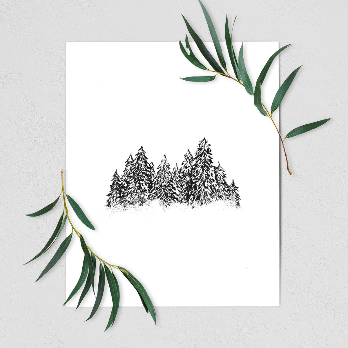 Art print of a black ink illustration of a row of snow-dusted evergreen trees, shown with eucalyptus leaves.