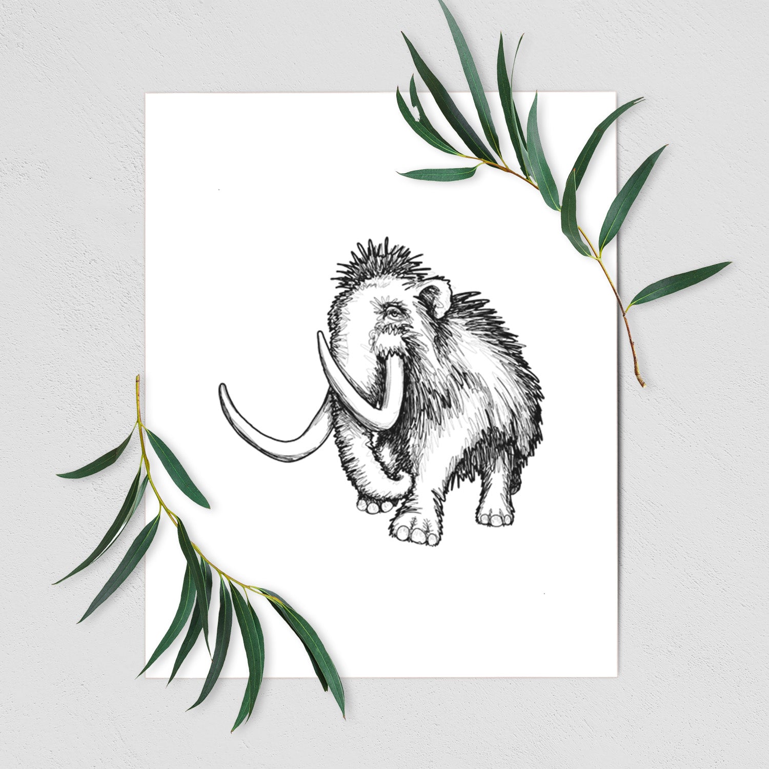 Art print of a black ink illustration of a woolly mammoth with long curved tusks, shown with eucalyptus leaves.
