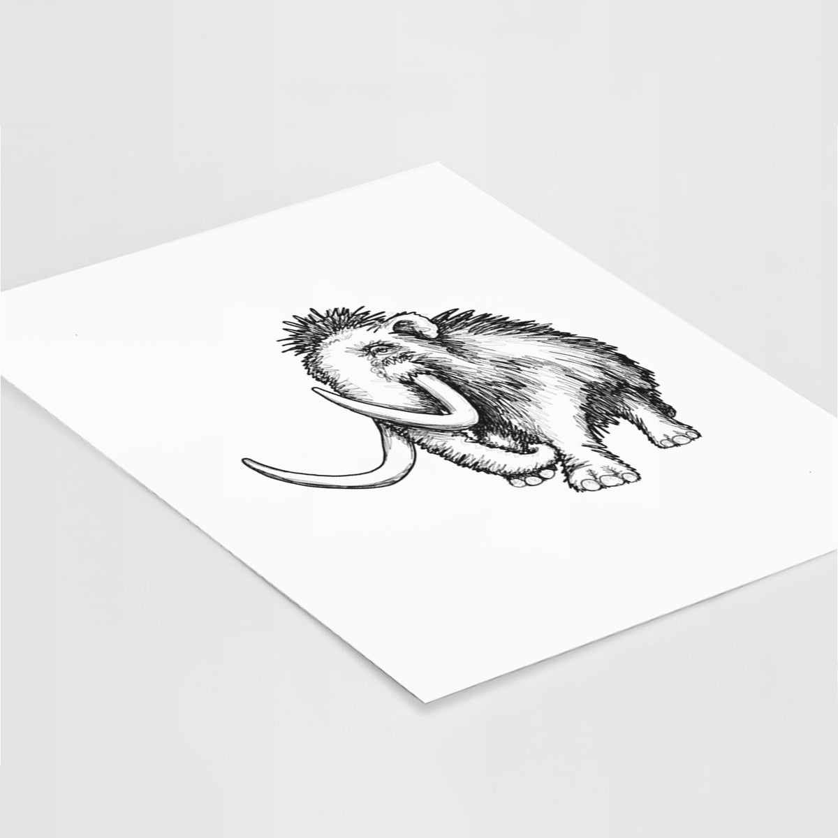 Art print of a black ink illustration of a woolly mammoth with long curved tusks, lying at an angle on a white surface.