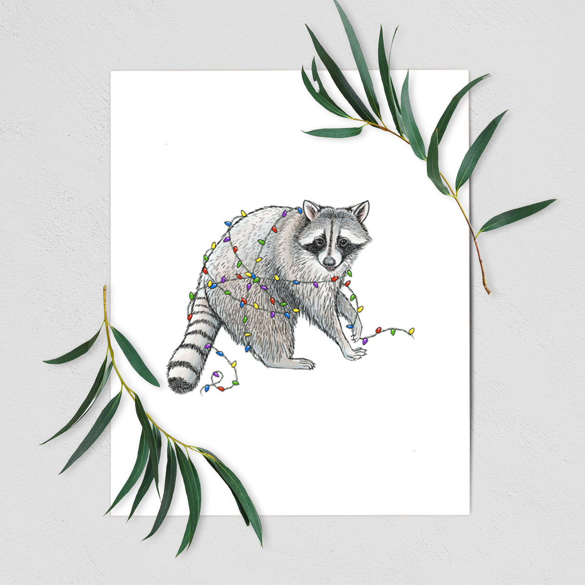 Art print of a black ink raccoon tangled in a string of colorful holiday lights, shown with eucalyptus leaves.