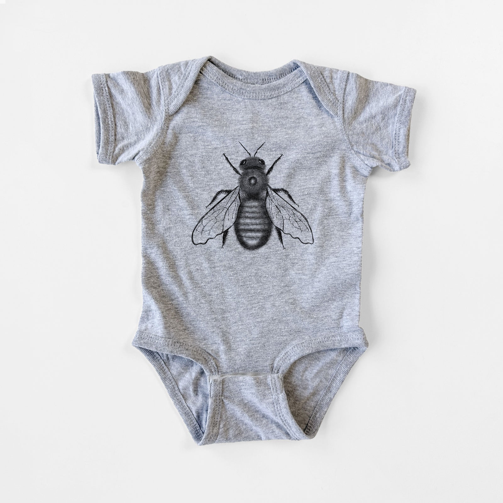 Grey baby bodysuit laid flat, printed with a detailed black ink illustration of an eastern carpenter bee with its wings spread, seen from above.