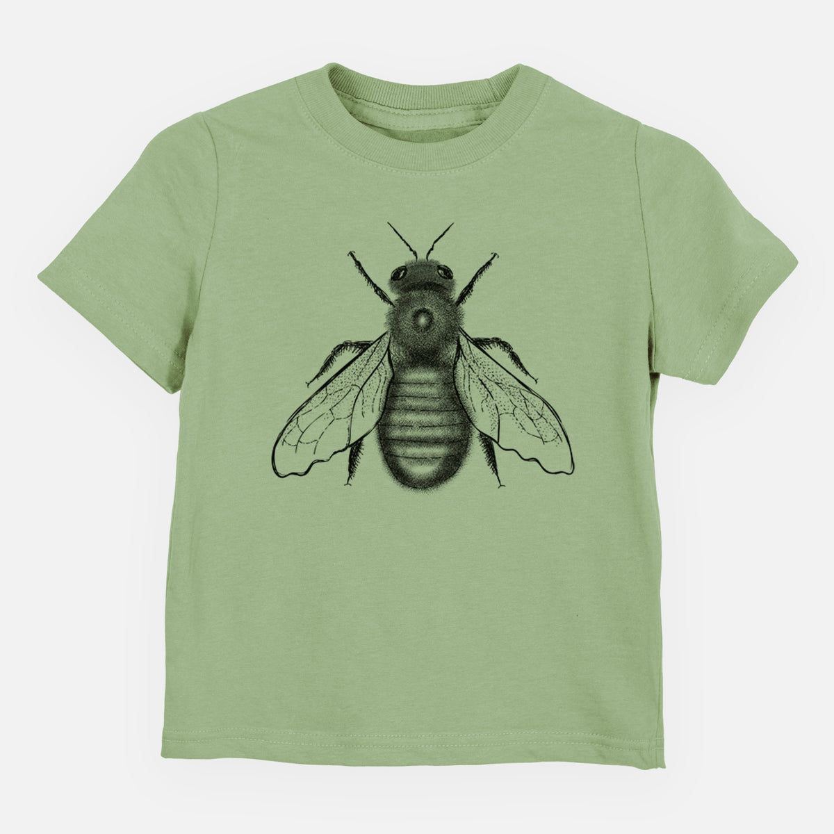Sage green toddler t-shirt laid flat, printed with a detailed black ink illustration of an eastern carpenter bee with its wings spread, seen from above.