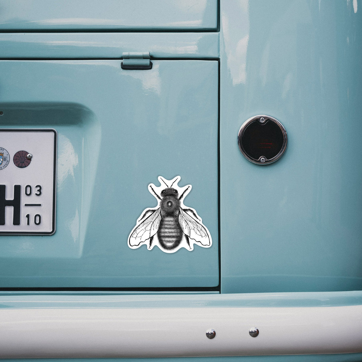 4 inch vinyl decal of a detailed black ink illustration of an eastern carpenter bee with its wings spread, seen from above on the back of a van.