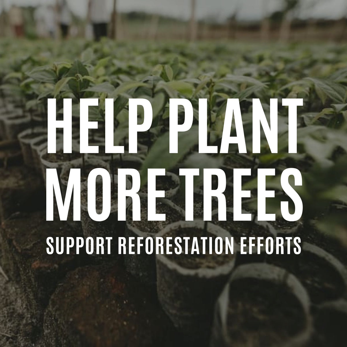Product photo of the BeCause Tees Help Plant Additional Trees.