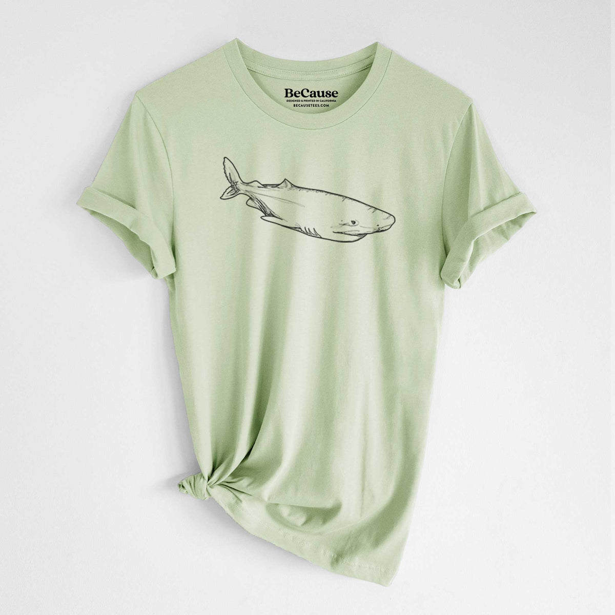 Spring green lightweight cotton t-shirt laid flat with the sleeves rolled, printed with a black ink illustration of a Greenland shark swimming.
