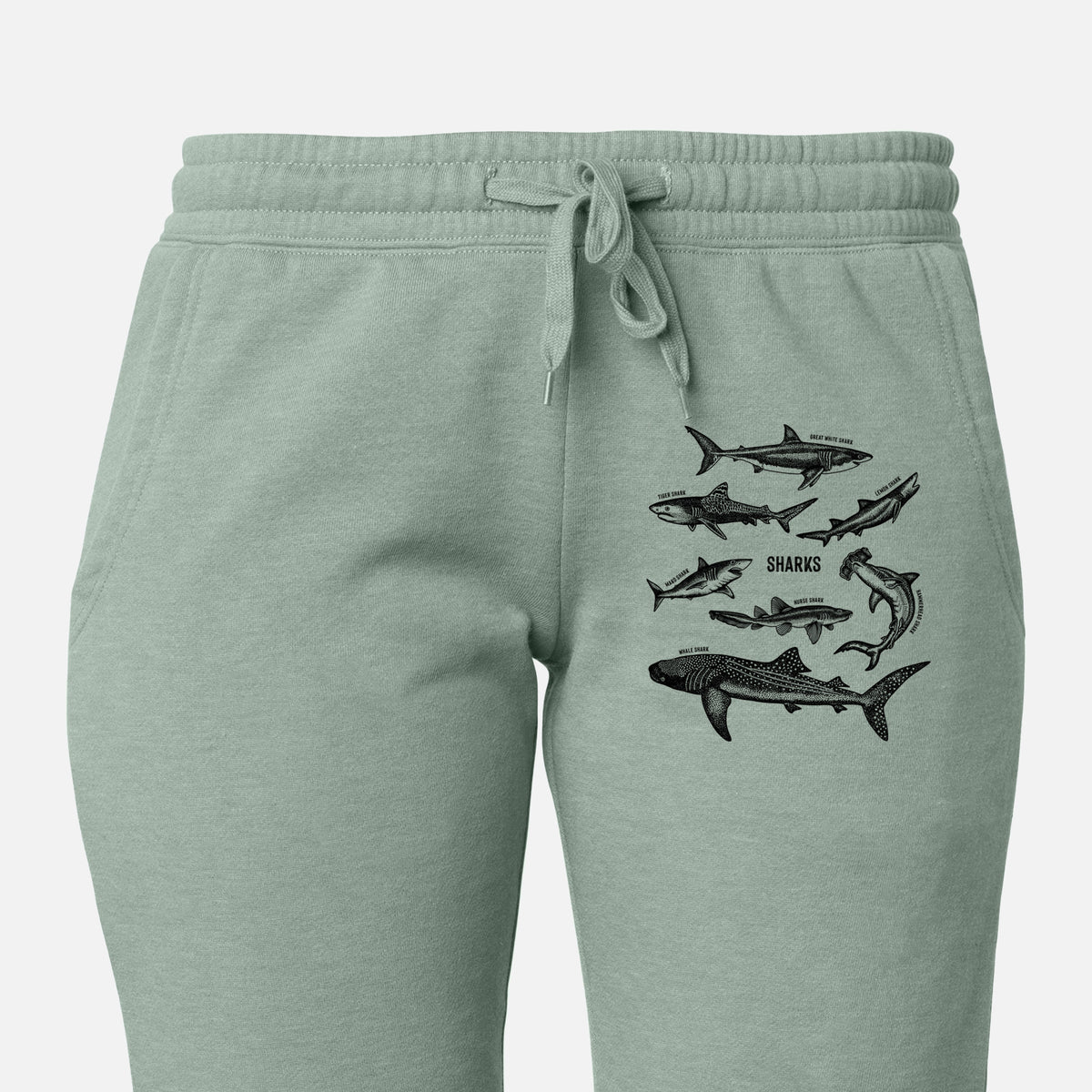 Front of sage green Cali Wave sweatpants, printed with a chart of black ink shark illustrations, including a whale shark, hammerhead and great white on the leg.