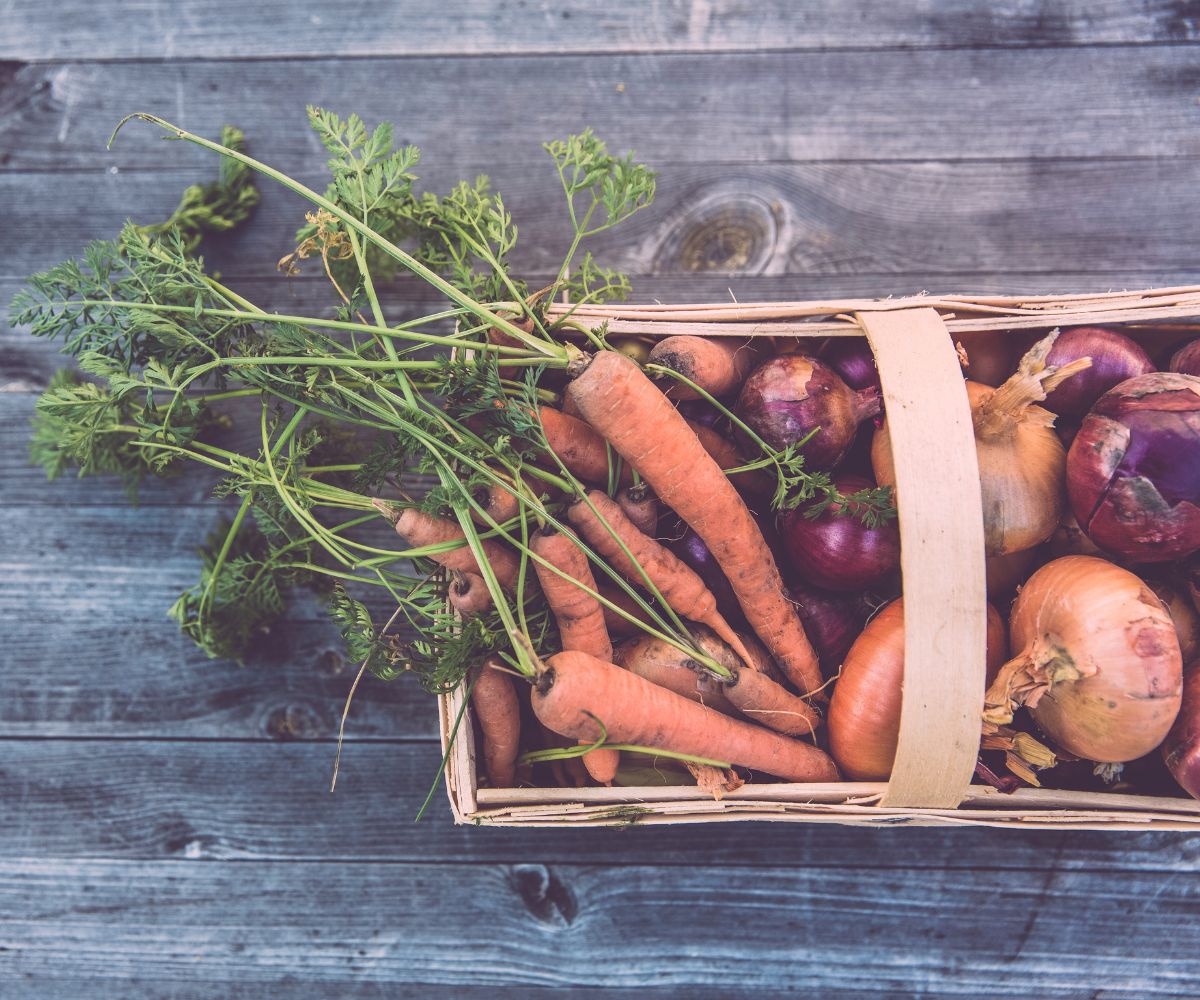 Basket of carrots and onions