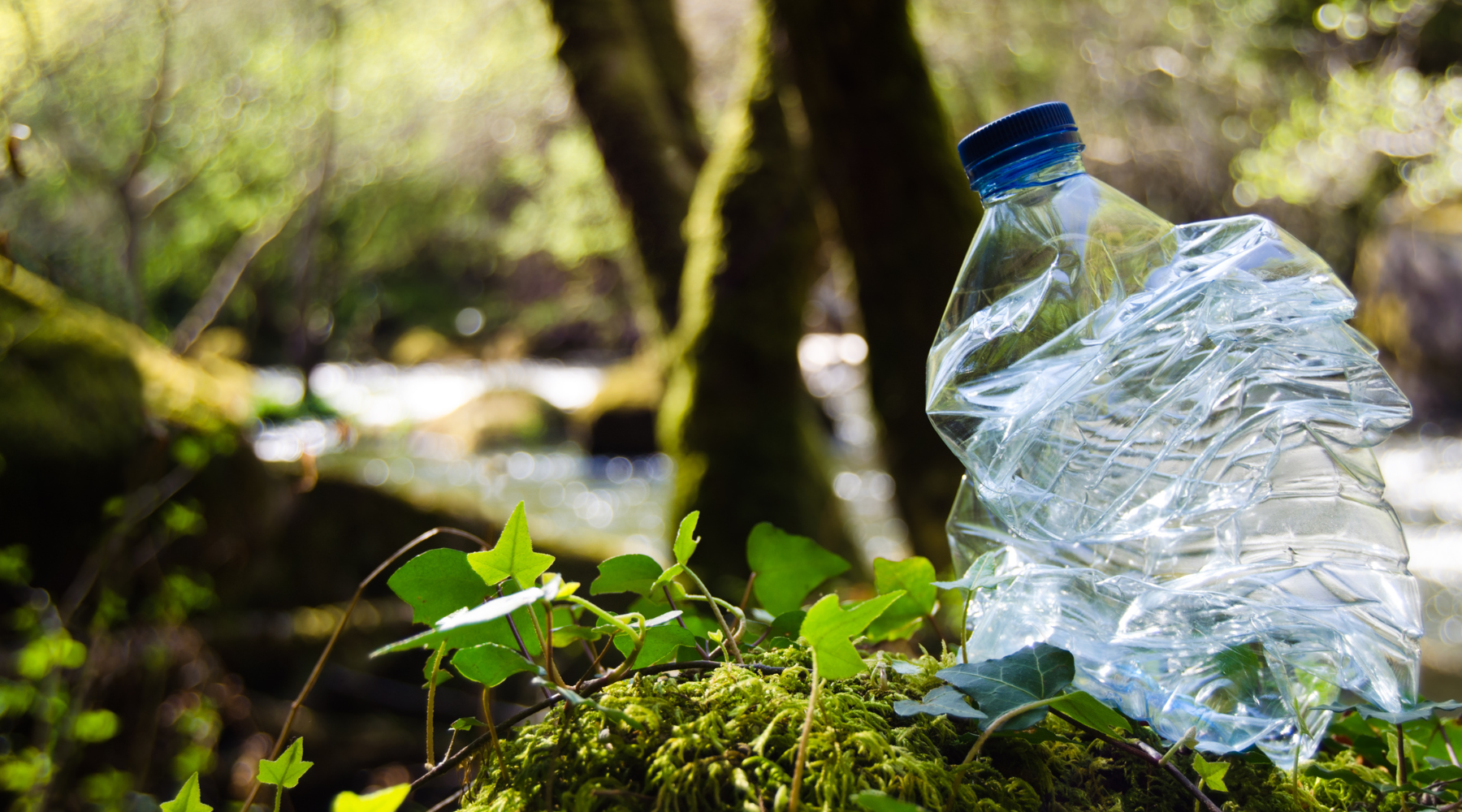 America Recycles Day - plastic bottle waste