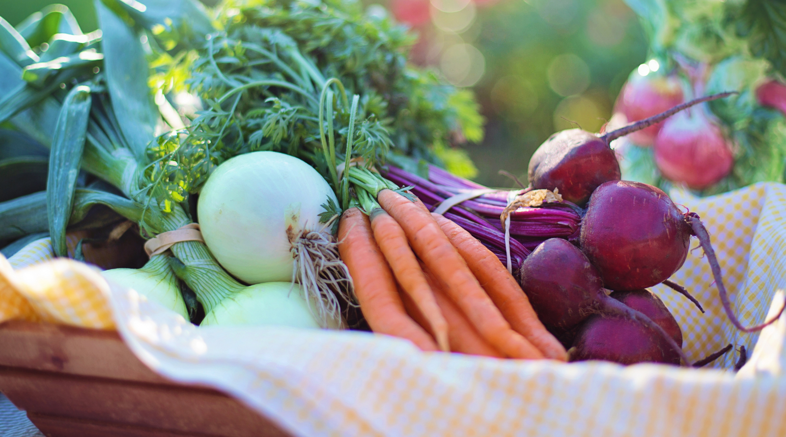 Fresh fall garden harvest with carrots, beets, and onions in a basket