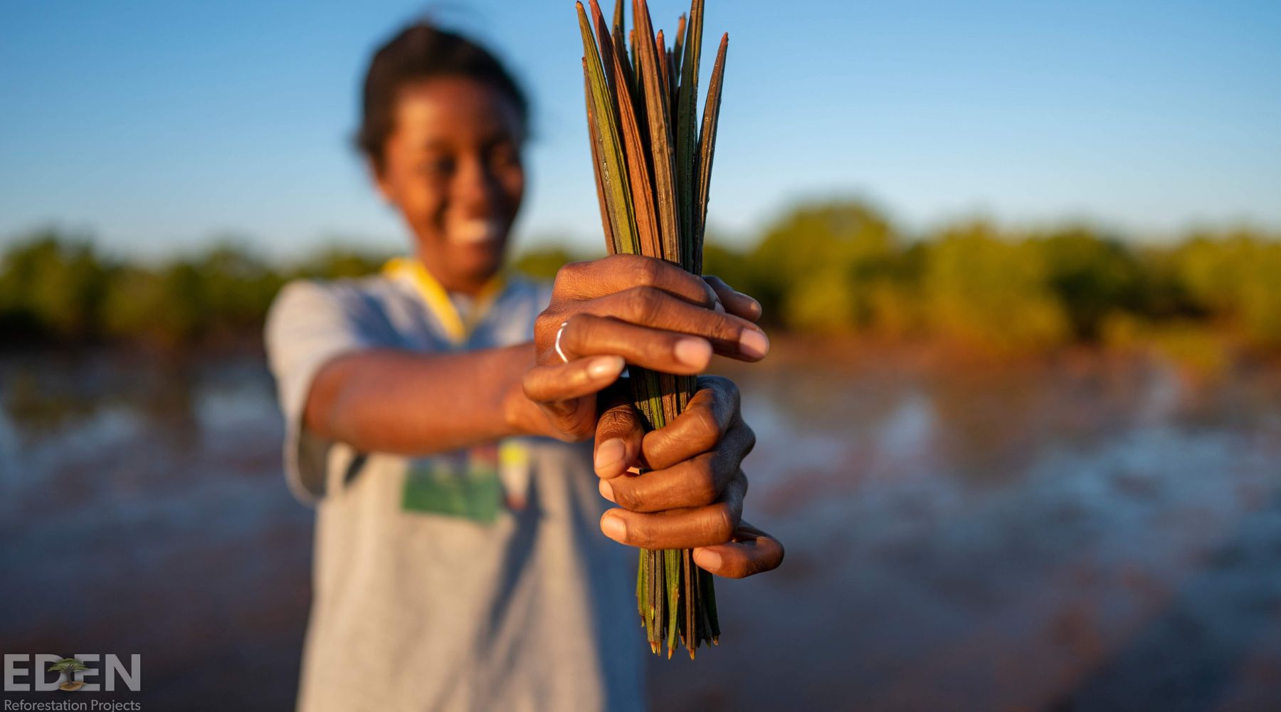 Planting trees Eden Reforestation Projects