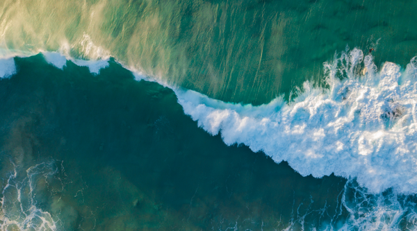 Understanding Waves: How Do Waves Work Explained! - Because Tees