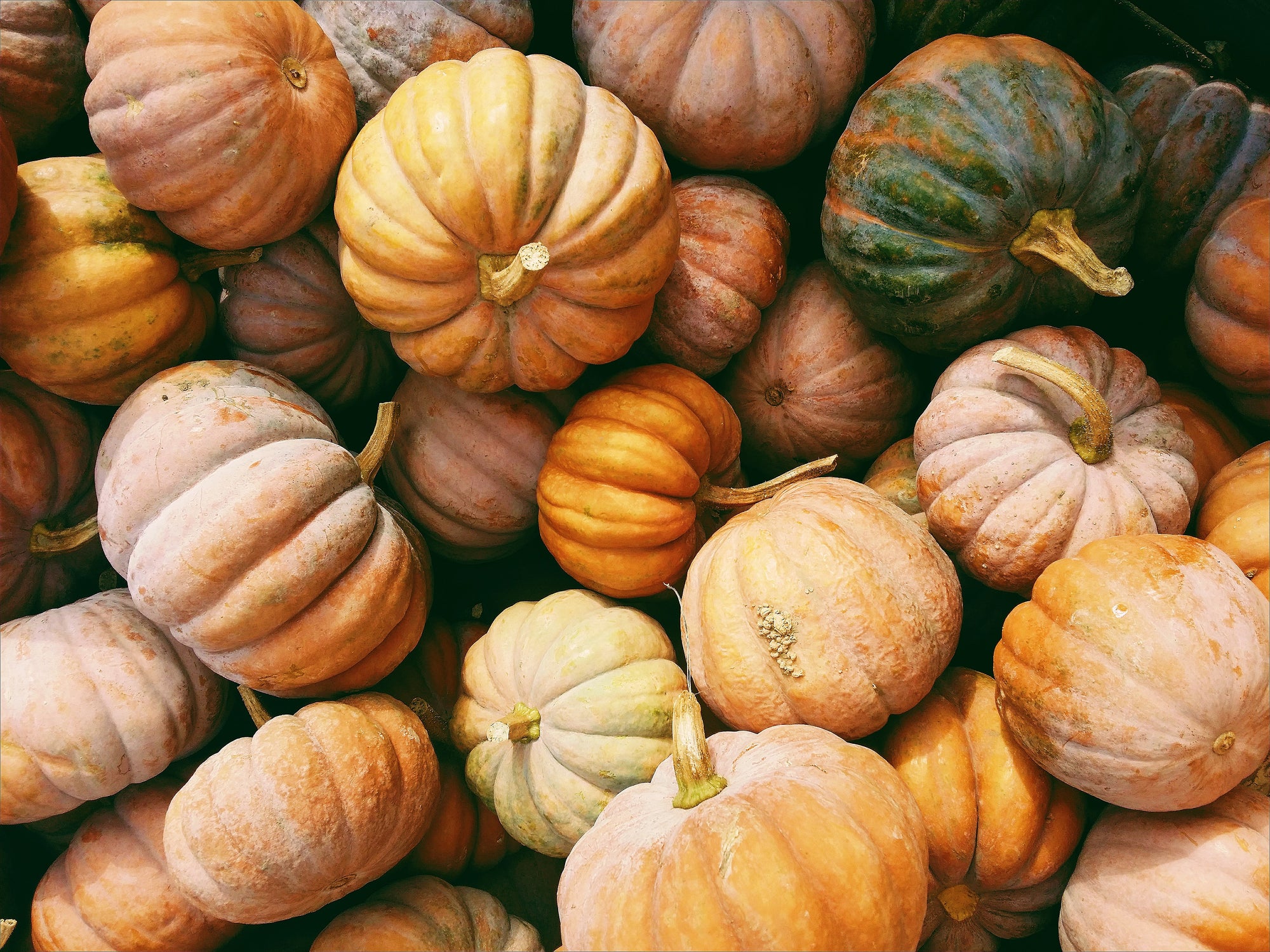 Halloween pumpkins