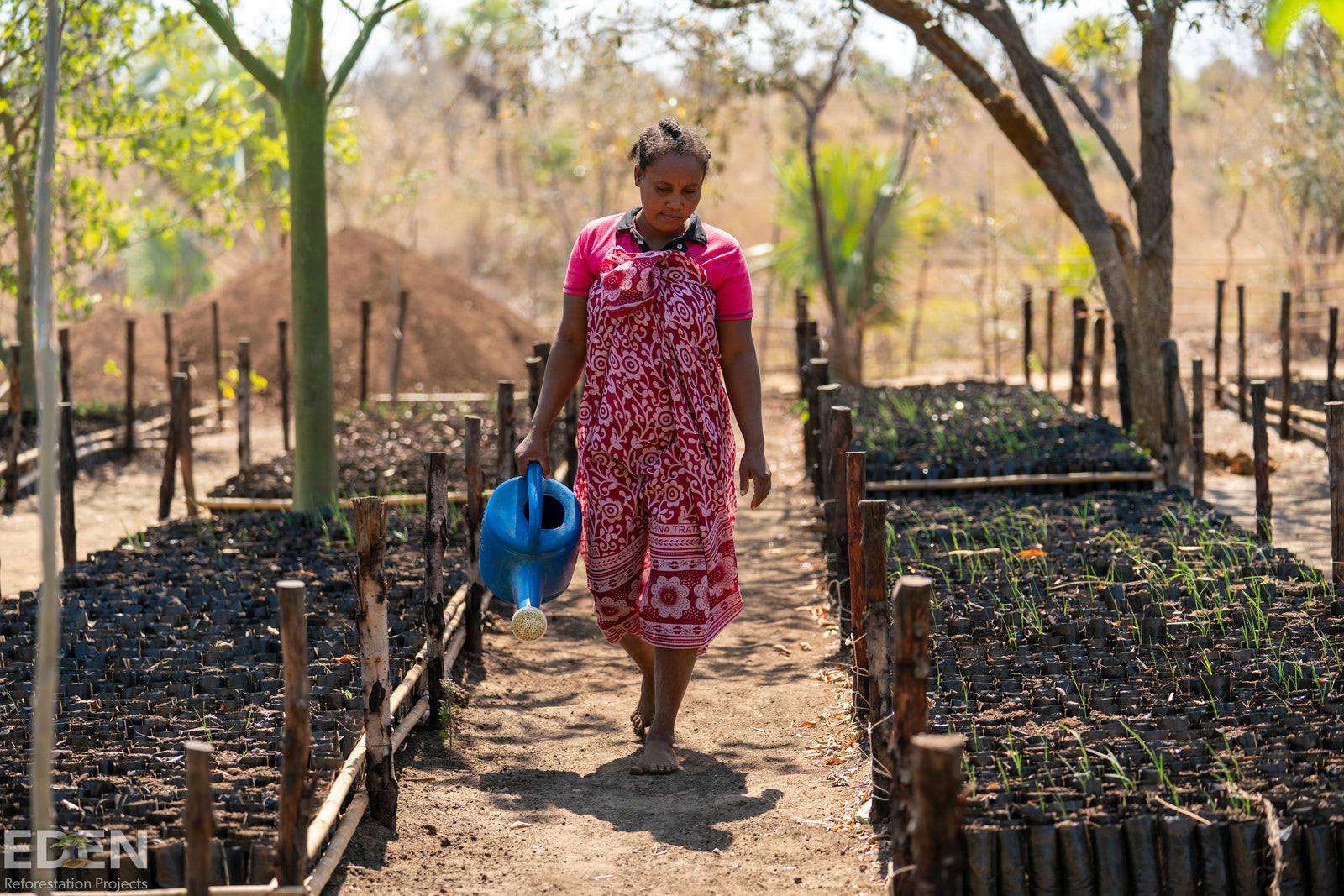 Madagascar nursery planting